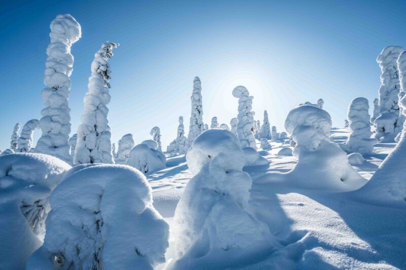From Rovaniemi: Riisitunturi Full-Day Wilderness Adventure - Who Should Consider This Tour?