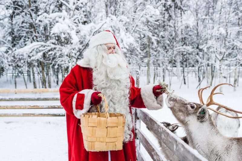 From Rovaniemi: Tour to Santa Claus Village - Key Points