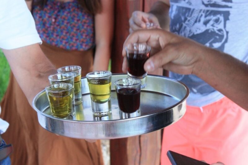 From Rovinj: Rovinj, Motovun and Gronjan Day Tour - Exploring Rovinj’s Historic Walls