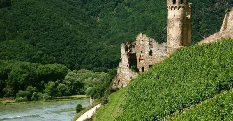 From Rüdesheim: 1.5-Hour Boat Cruise with Wine Tasting - Is This Tour Worth It?