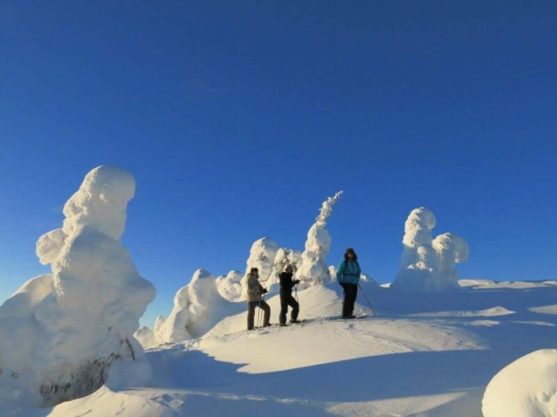 From Ruka: Snowshoeing in Riisitunturi National park - Key Points