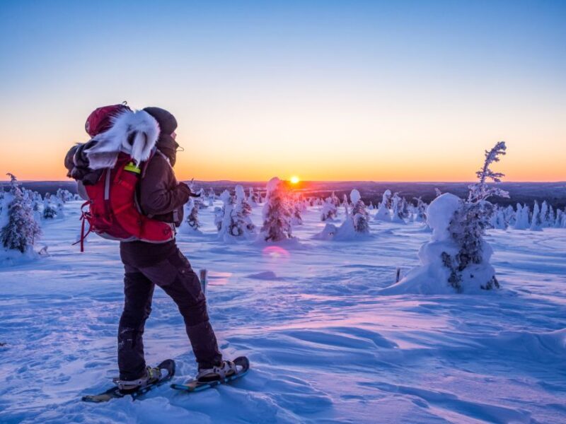 From Ruka: Snowshoeing in Riisitunturi National park - Authenticity and Tips from Reviews