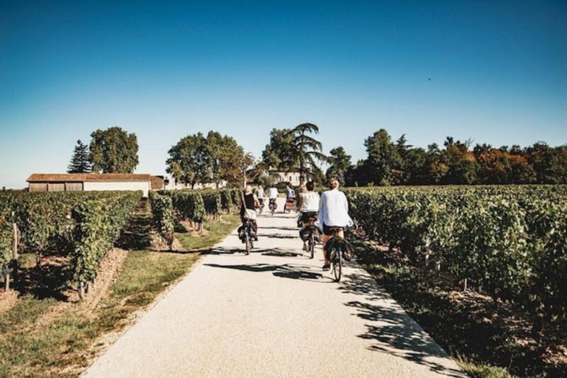 From Saint-Emilion : Half Day Electric Bike Tour - Practical Details and Value