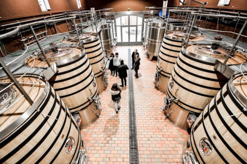 From Saint-Emilion : Half Day Electric Bike Tour - Final Thoughts