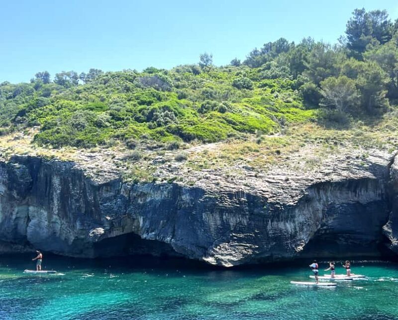 From Saint-Florent: Cap Corse and Agriates Desert Boat Tour - Authentic Insights from Travelers