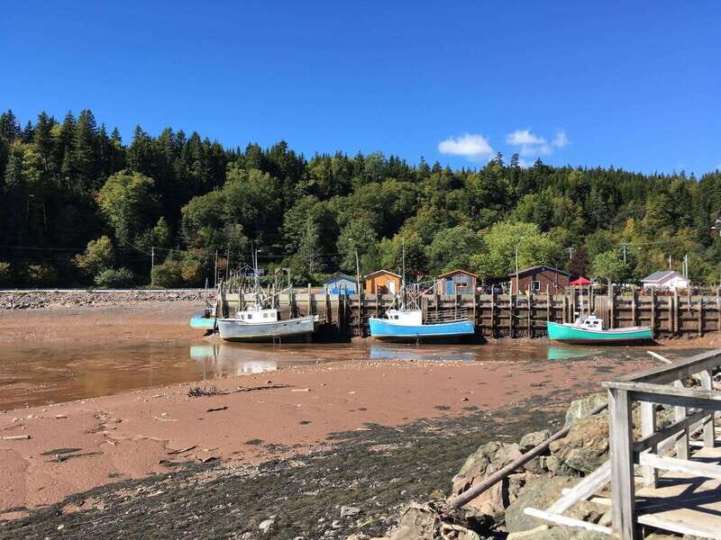 From Saint John: Bay of Fundy Bus Trip for Cruise Passengers - Frequently Asked Questions