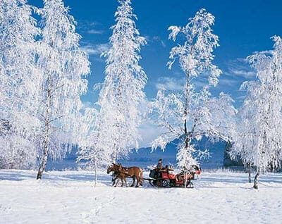 From Salzburg: 8 hour Horse-Drawn incl. 2-hour Carriage Ride - An In-Depth Look at the Ramsau Horse-Drawn Tour