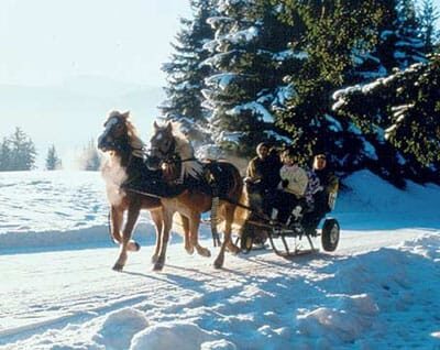 From Salzburg: 8 hour Horse-Drawn incl. 2-hour Carriage Ride - The Sum Up: Who Will Love This Tour?