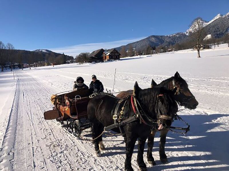 From Salzburg: 8 hour Horse-Drawn incl. 2-hour Carriage Ride - FAQs