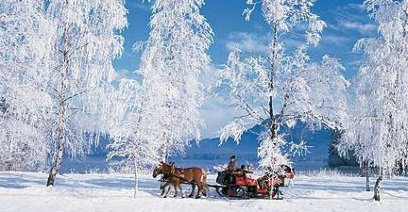 From Salzburg: Romantic Sleigh Ride through the Countryside - Who Is This Tour Best For?