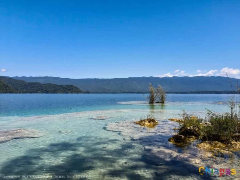 From San Cristóbal: Miramar Lagoon Hidden Paradise - Practical Details: How It Works