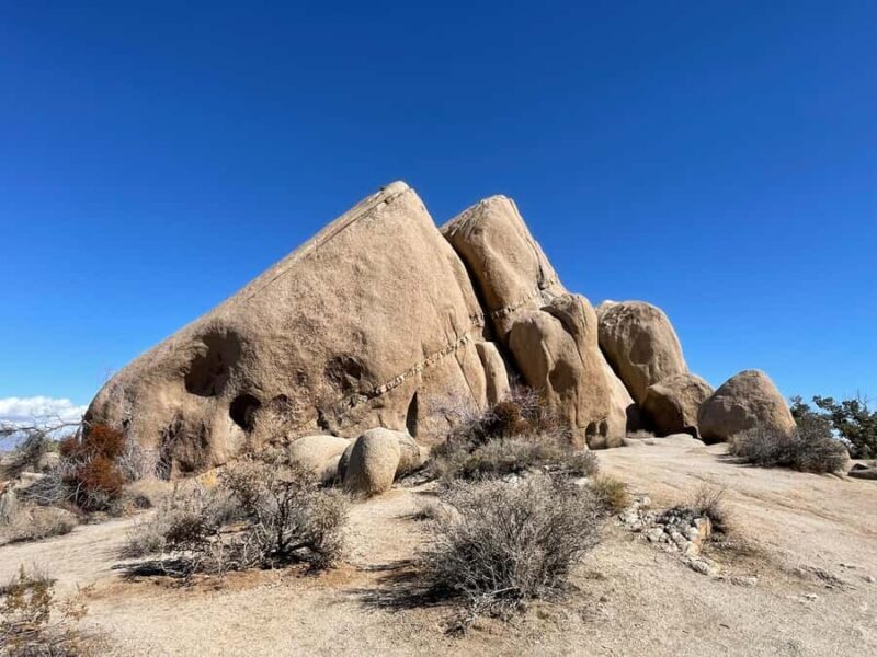 From San Diego: Joshua Tree National Park Private Tour - Key Points