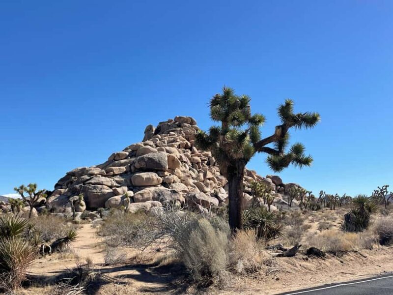 From San Diego: Joshua Tree National Park Private Tour - Final Thoughts