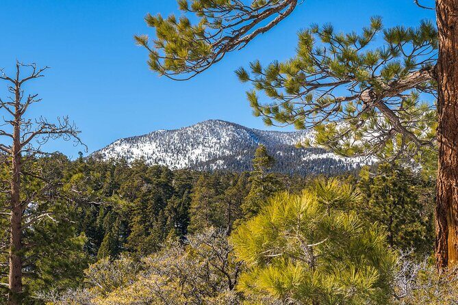 From San Diego: Two-Day Camping and Hiking Adventure in Idyllwild - An Authentic Two-Day Mountain Escape