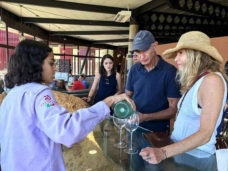 From San Diego: Valle de Guadalupe Private Wine Tasting Tour - Key Points