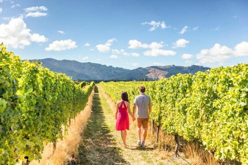 From San Francisco: Alcatraz Night Tour, Muir Woods and Wine - A Detailed Look at Your Two-Day California Adventure