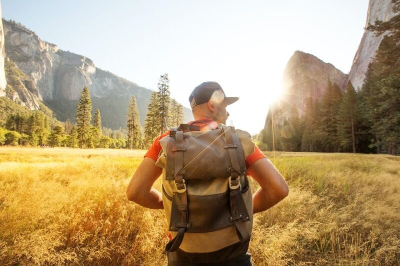 From San Francisco: Day Trip to Yosemite National Park - Key Points