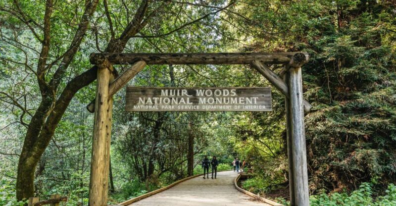 From San Francisco: Guided Muir Woods Tour - From San Francisco: Guided Muir Woods Tour
