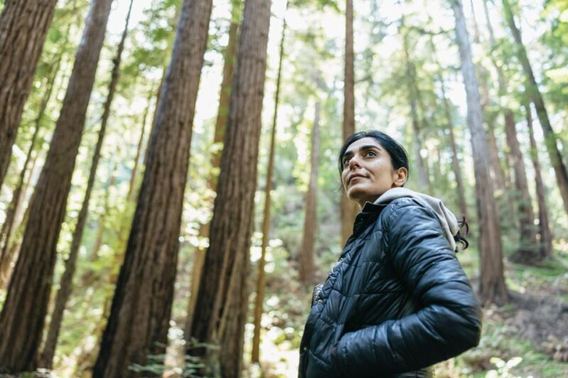 From San Francisco: Guided Muir Woods Tour - Key Points