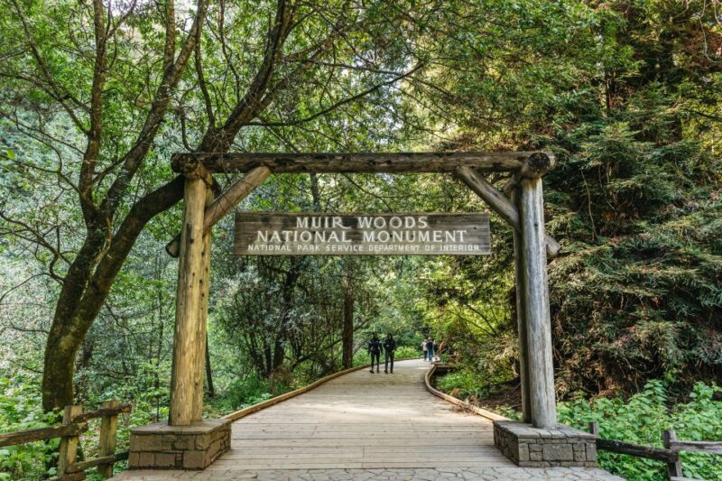 From San Francisco: Guided Muir Woods Tour - What’s Included and What’s Not?