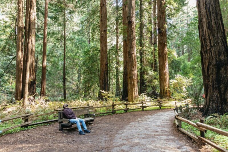 From San Francisco: Guided Muir Woods Tour - FAQ