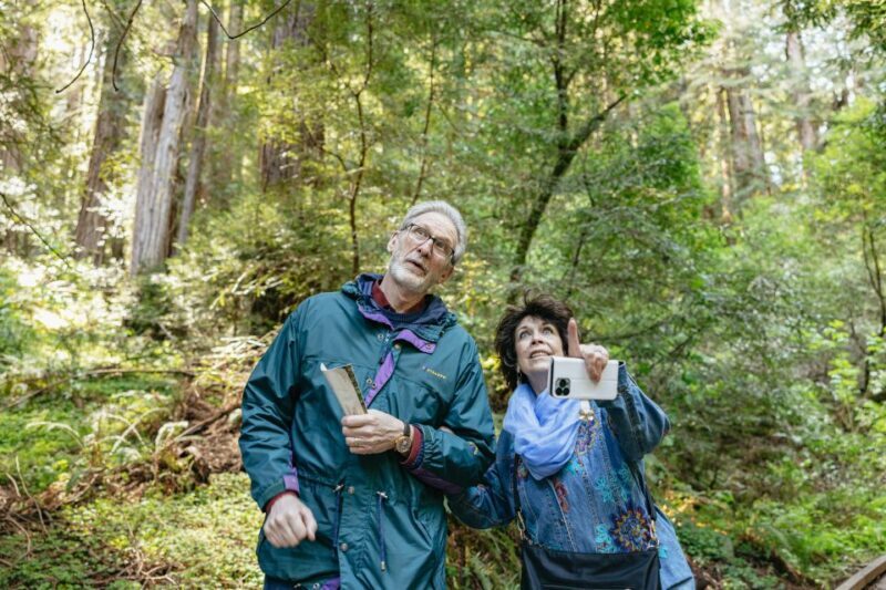 From San Francisco: Guided Muir Woods Tour - Final Words