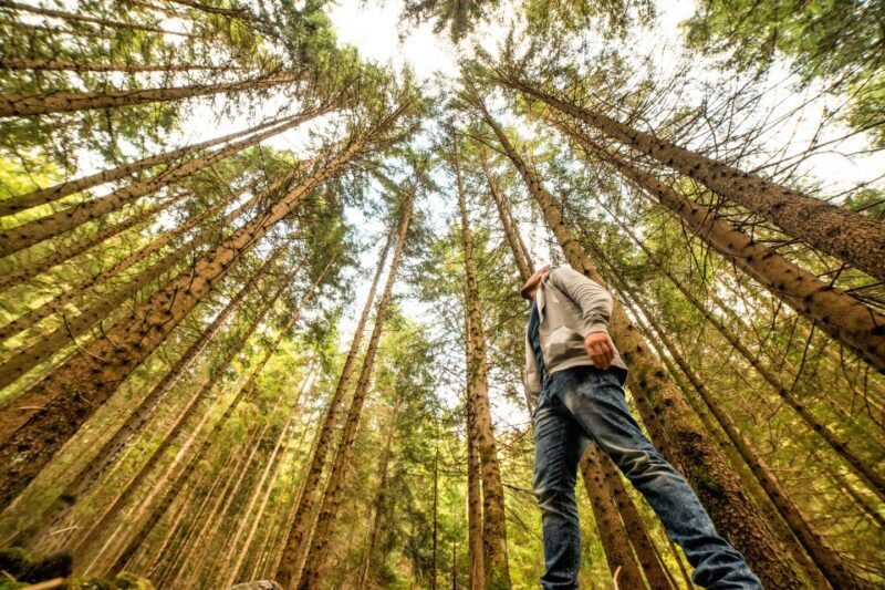 From San Francisco: Guided Tour to Muir Woods - How Does This Tour Offer Good Value?