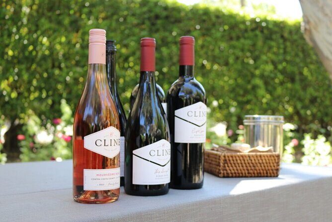 From San Francisco: Half-Day Wine Aficionado Tour with Tastings - Exploring the Itinerary in Detail
