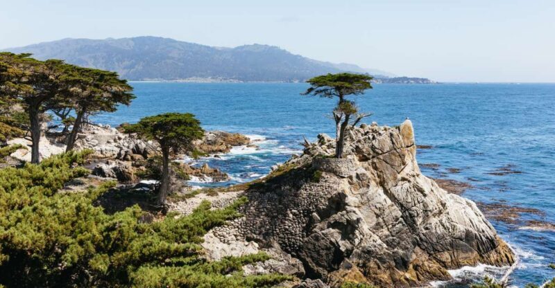 From San Francisco: Monterey and Carmel Day Tour - Authentic Experiences and Review Highlights