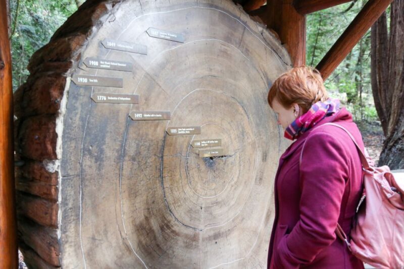 From San Francisco: Muir Woods and Sausalito Half-Day Trip - FAQ