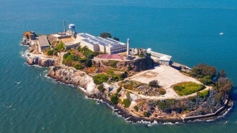 From San Francisco: Muir Woods, Sausalito and Alcatraz Tour - Authentic Traveler Feedback