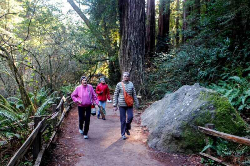 From San Francisco: Muir Woods Wine Tour with Napa & Sonoma - Who Is This Tour Best For?