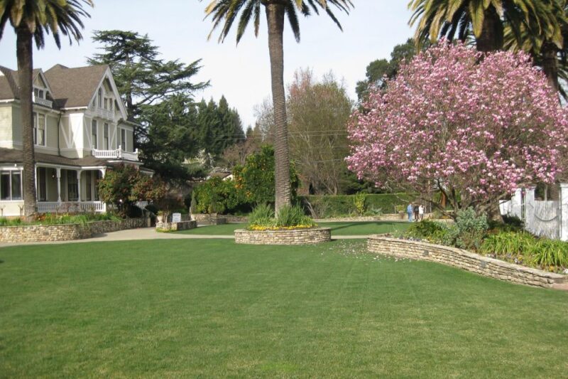 From San Francisco: Napa & Sonoma Valley Full-Day Wine Tour - Transportation and Group Size