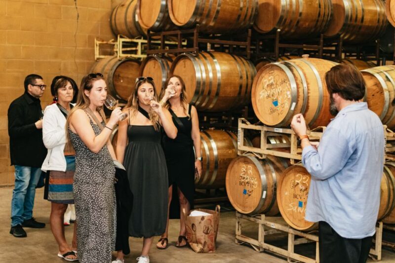 From San Francisco: Napa & Sonoma Valley Full-Day Wine Tour - Practical Details & Considerations
