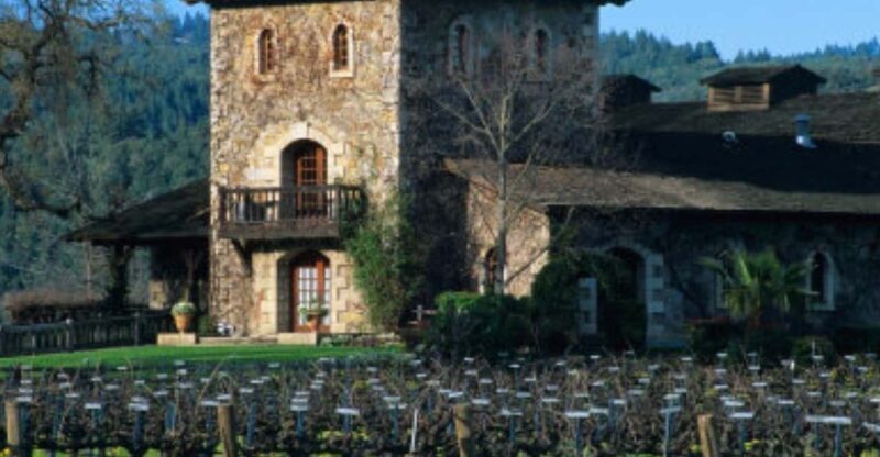 From San Francisco: St. Helena Wine Tour with Tastings - The Experience: What Reviews Reveal