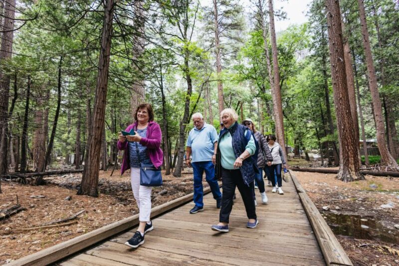 From San Francisco: Yosemite National Park Guided Day Trip - The Cons: Areas for Improvement