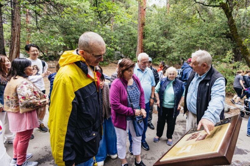 From San Francisco: Yosemite National Park Guided Day Trip - Transportation and Comfort