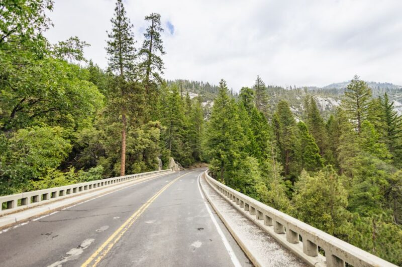 From San Francisco: Yosemite National Park Guided Day Trip - Is It Worth the Price?