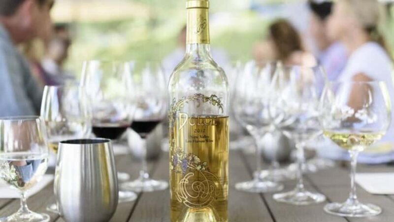 From San Jose: Small Group Napa & Sonoma Valley Wine Tour - An In-Depth Review of the Itinerary and Experience