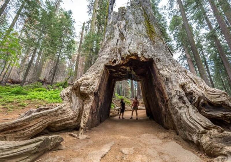 From San Jose:Enchanted Full Day Yosemite National Park Tour - Key Points