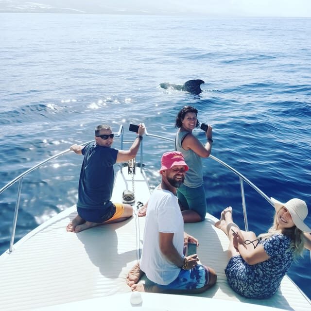 From San Juan beach : Marine Life Cruise - FAQ