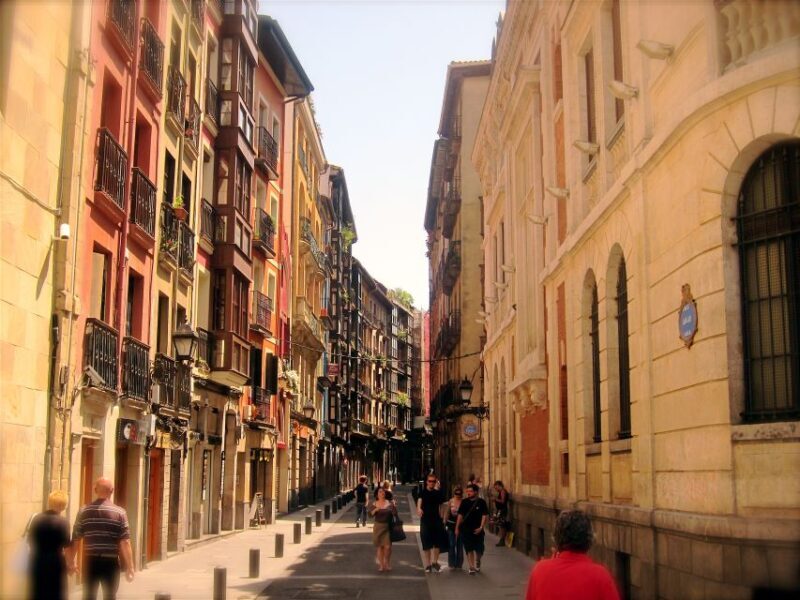 From San Sebastian: Bilbao & Guggenheim Museum Private Tour - Final Thoughts: Who Will Love This Tour?