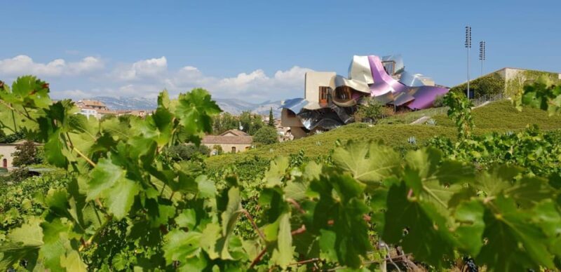 From San Sebastian/Bilbao/Vitoria: La Rioja Wineries Tour - Exploring Spain’s Rioja Wineries from San Sebastian: An Honest Review