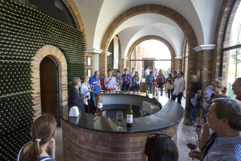 From San Sebastian/Bilbao/Vitoria: La Rioja Wineries Tour - Key Points
