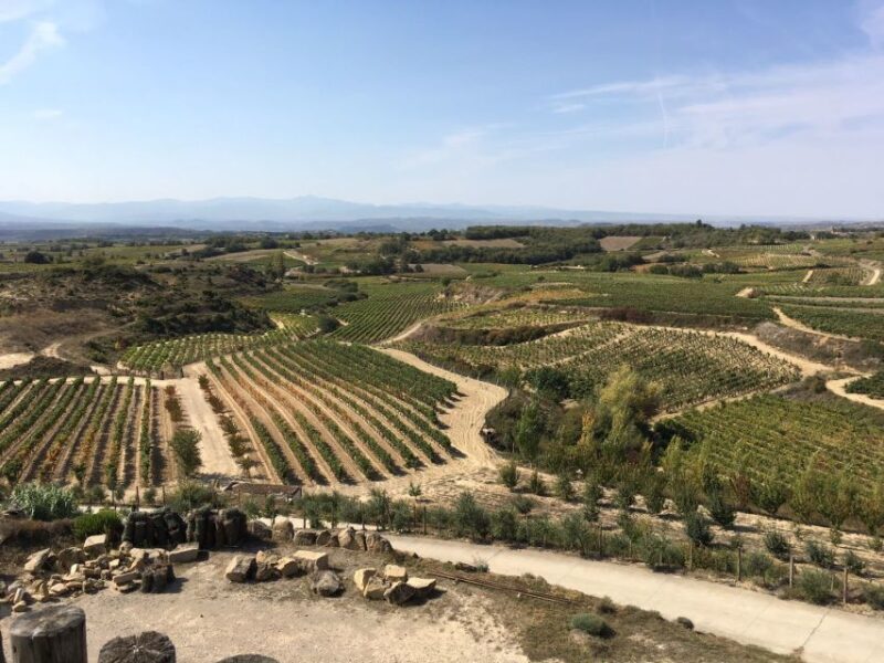From San Sebastian/Bilbao/Vitoria: Rioja Wine Tour w/ Lunch - The Itinerary: What to Expect on Your Rioja Wine Day Trip