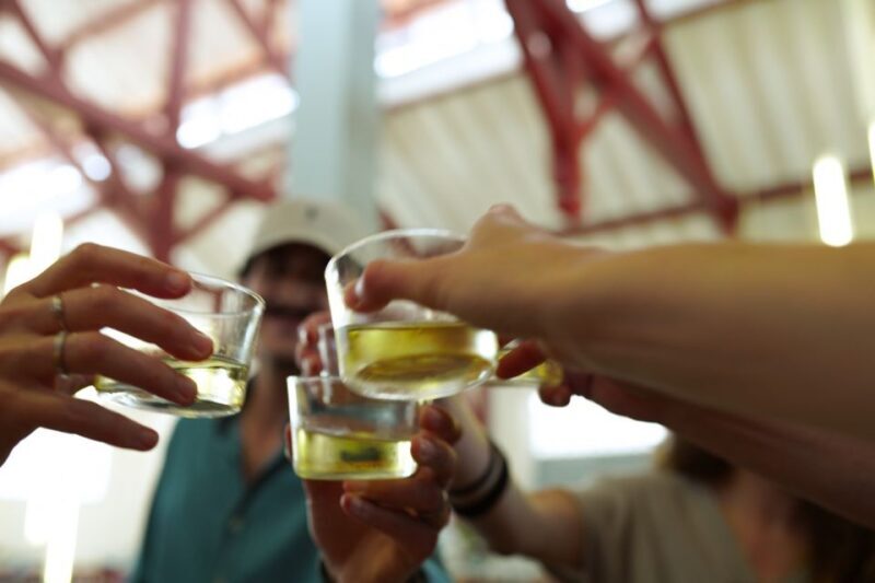 From San Sebastian: Flavors of French Basque Country Tour - Who Will Love This Tour?