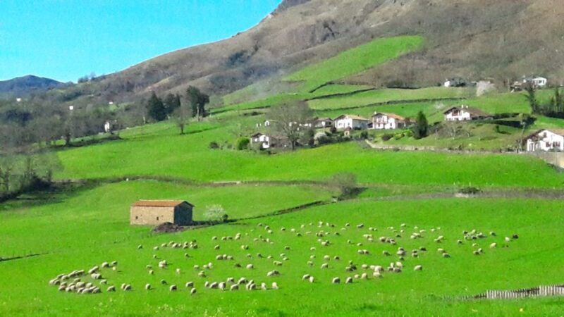 From San Sebastian: French-Basque Countryside Private Tour - An Authentic Day Exploring the French-Basque Countryside