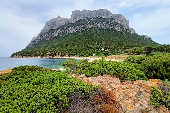 From San Teodoro Mini Tour of the Tavolara Archipelago - Exploring Sardinia’s Hidden Gem: The San Teodoro Mini Tour of the Tavolara Archipelago