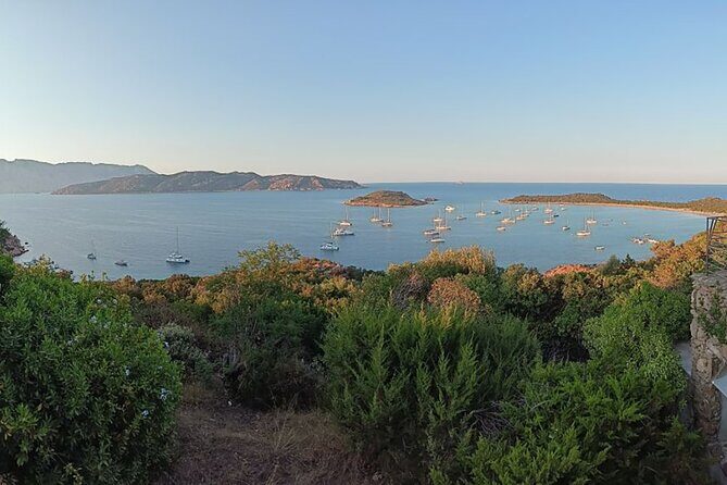 From San Teodoro Mini Tour of the Tavolara Archipelago - Return Journey