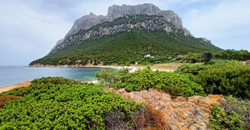 From San Teodoro: Tavolara Archipelago Dinghy Mini Tour - What to Expect on the Day